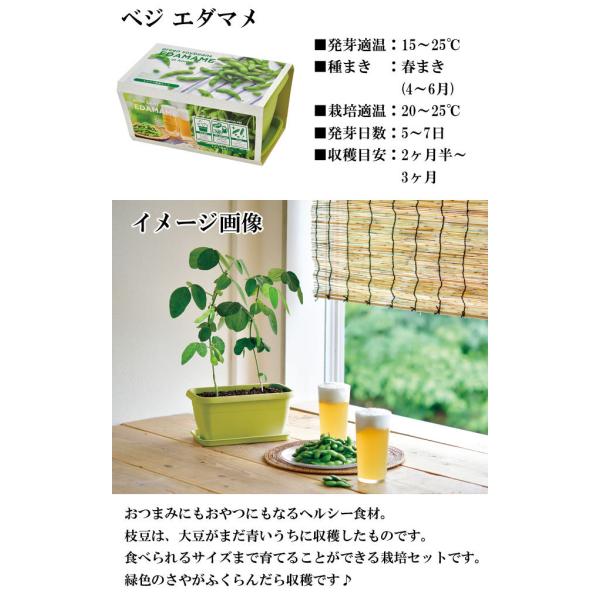 栽培キット エンジョイプランター ベジ フラワー エダマメ ミニトマト ミニヒマワリ 栽培セット 種 野菜 かわいい おしゃれ ギフト インテリア 置物 グッズ Buyee Buyee Japanese Proxy Service Buy From Japan Bot Online