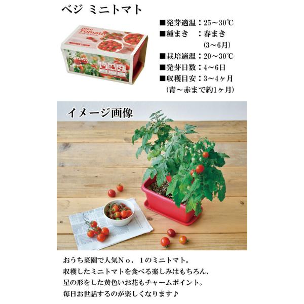 栽培キット エンジョイプランター ベジ フラワー エダマメ ミニトマト ミニヒマワリ 栽培セット 種 野菜 かわいい おしゃれ ギフト インテリア 置物 グッズ Buyee Buyee Japanese Proxy Service Buy From Japan Bot Online