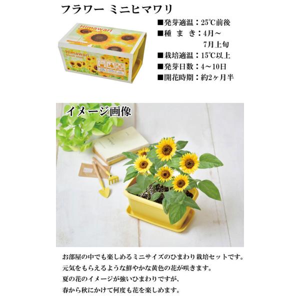 栽培キット エンジョイプランター ベジ フラワー エダマメ ミニトマト ミニヒマワリ 栽培セット 種 野菜 かわいい おしゃれ ギフト インテリア 置物 グッズ Buyee Buyee 日本の通販商品 オークションの代理入札 代理購入