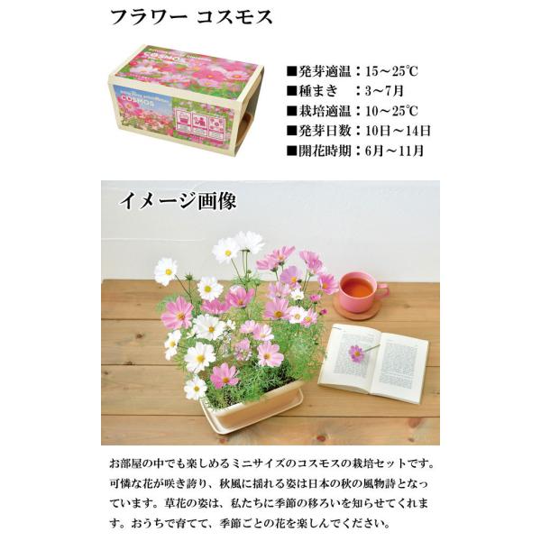 栽培キット エンジョイプランター ベジ フラワー エダマメ ミニトマト ミニヒマワリ 栽培セット 種 野菜 かわいい おしゃれ ギフト インテリア 置物 グッズ Buyee Buyee 日本の通販商品 オークションの代理入札 代理購入