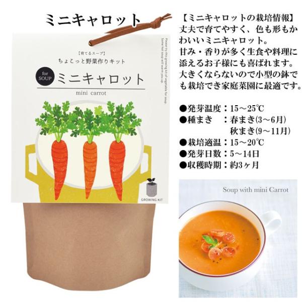 栽培キット 育てるスープ パクチー コリアンダー 現金特価 ミニキャロット 青ネギ ホウレンソウ 栽培セット おしゃれ 野菜 種 ニンジン ネギ かわいい ほうれん草