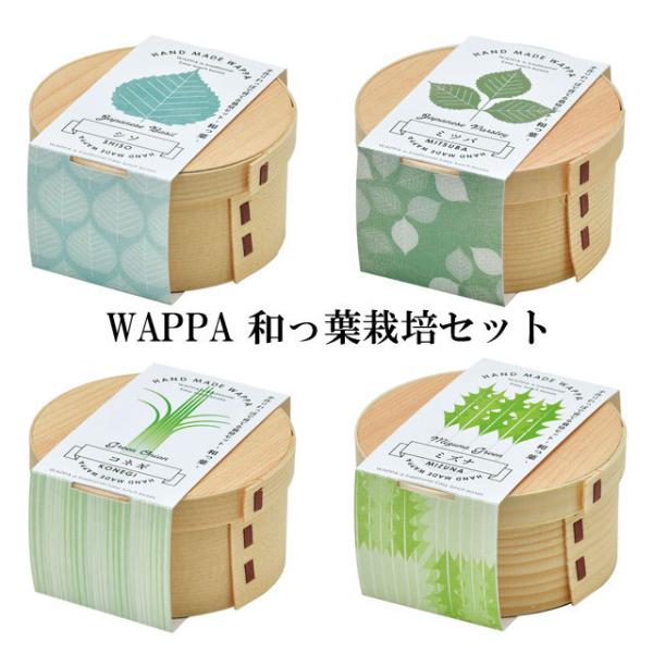 ͔|Zbg WAPPA at ͔|Lbg A  O[ n[u  V\ Ot RlM    킢  CeA u ObY
