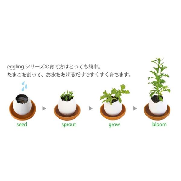 栽培キット Eggling Eco Friendly エッグリング エコフレンドリー 即納 ミント イタリアンパセリ バジル カクタス ワイルドストロベリー ラベンダー Buyee Buyee Japanese Proxy Service Buy From Japan Bot Online