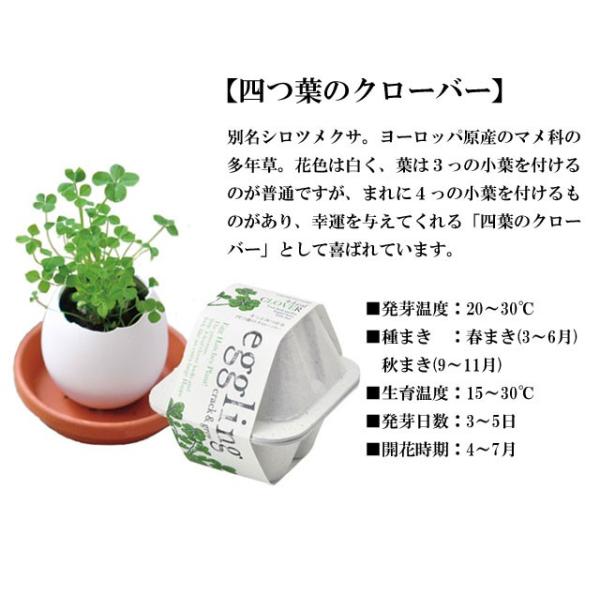 栽培キット Eggling Eco Friendly エッグリング エコフレンドリー 四つ葉のクローバー 即納 栽培セット グリーン 四つ葉 クローバー タマゴ たまご Buyee Buyee 提供一站式最全面最專業現地yahoo Japan拍賣代bid代拍代購服務 Bot Online