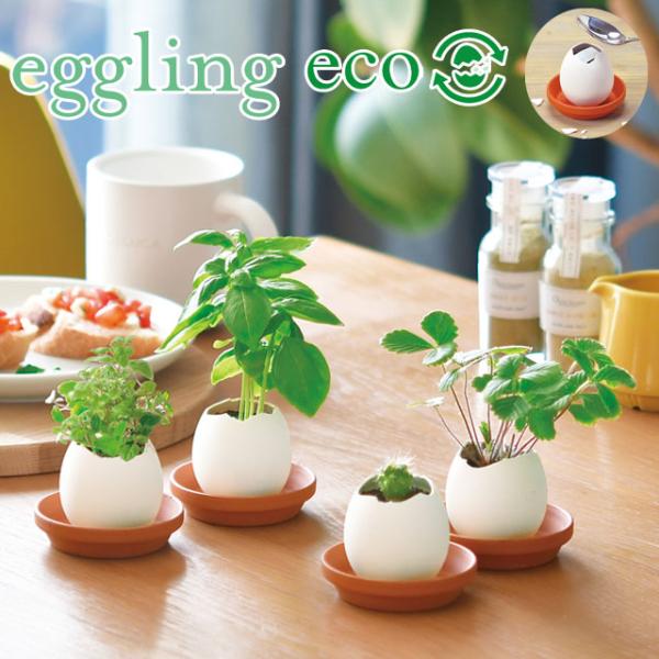 まるで本物のたまごのようなeggling。たまごは陶器でできていて、中には種と土がセットされています。上部をスプーンなどでコンコンと割って、水をあげるとかわいい芽が出てきます。パッケージは古紙とたまごの殻をリサイクルして作られた包装パックで...