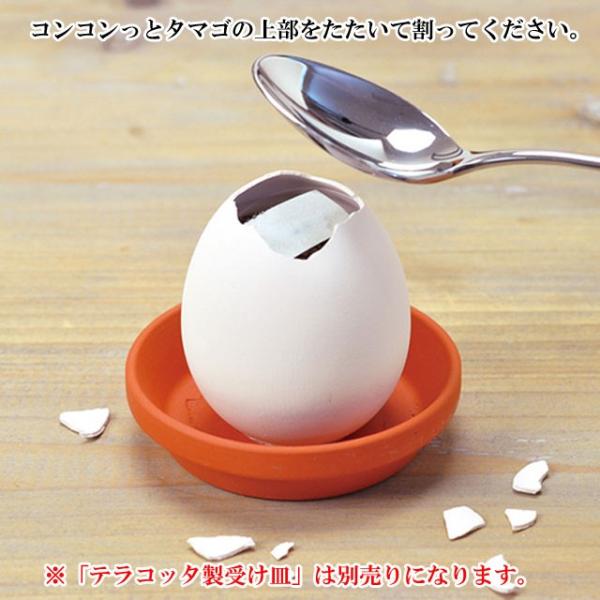 栽培キット Eggling Eco Friendly エッグリング エコフレンドリー ミニバラ カーネーション 即納 栽培セット バラ 薔薇 ばら 母の日 花 タマゴ たまご Buyee Buyee Japanese Proxy Service Buy From Japan Bot Online