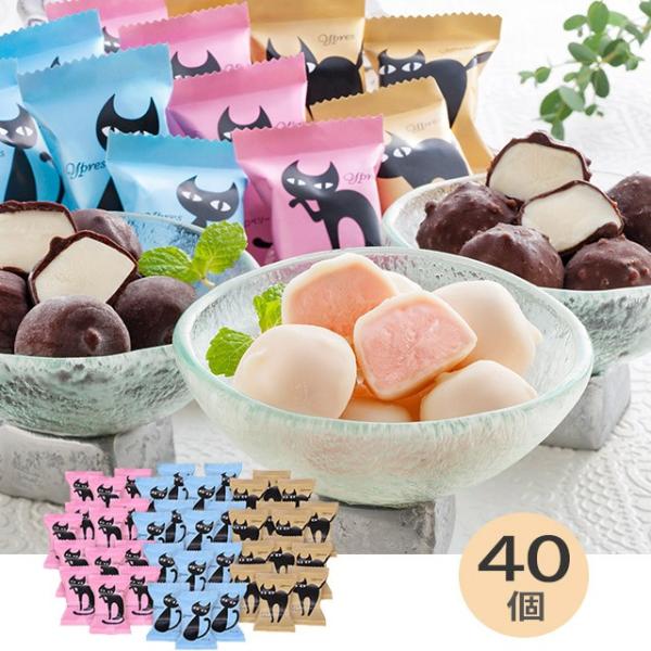お中元 イーペルの猫祭り プチチョコアイス A Eph 3種 計 40個 代引き不可 メーカー直送 Www Nouvelle Etoile Org