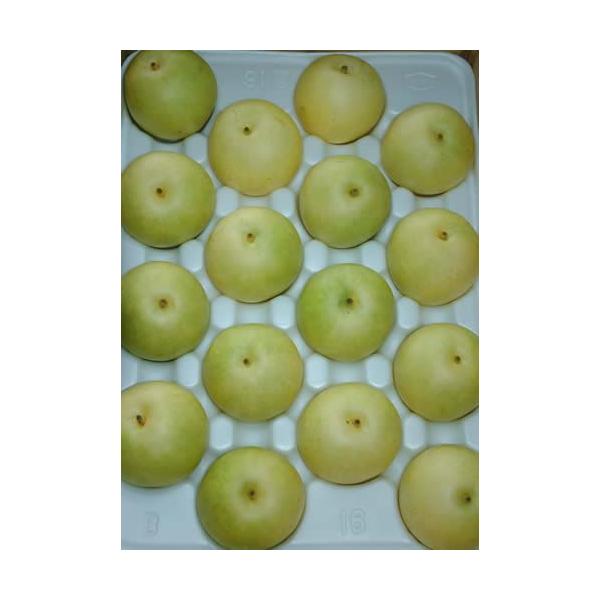 2026N9\ \I  10L 28`32  Gi  20I 20I \I a * ӂ邳Ɣ[ ł͂܂