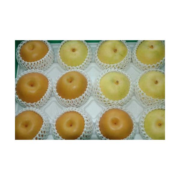 2026N9\ ōilߍ킹 \I L 10L24`28 Gi L  20I 20I \I a