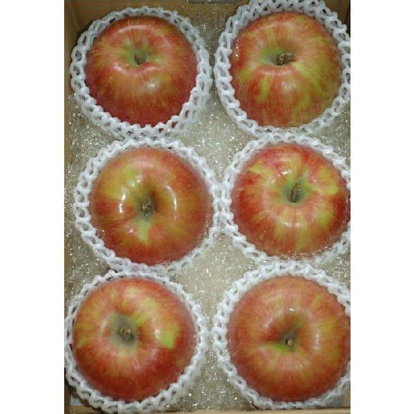 T Ii 2kg 6ʓ  S ь * ӂ邳Ɣ[ ł͂܂