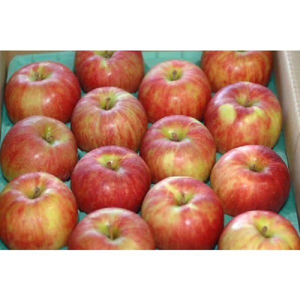 T  p 10kg 28~32ʓ * ӂ邳Ɣ[ ł͂܂