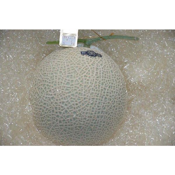 ÉY }XN 1 ϔ Mtg S10