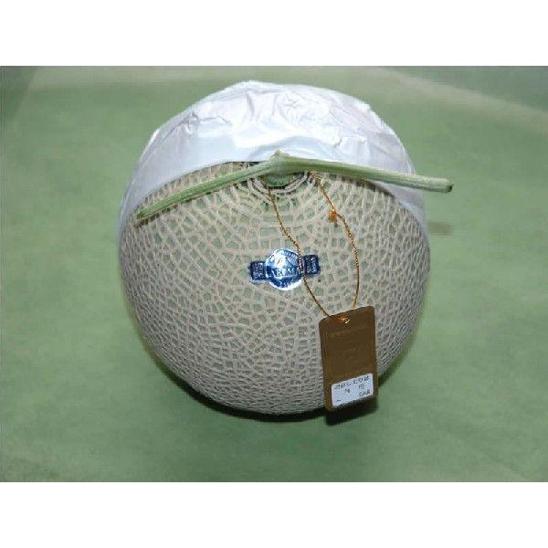 ÉY }XN 1 ϔ Mtg S10