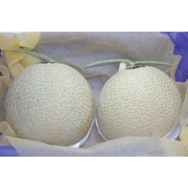 ÉY }XN 2 ϔ Mtg S10