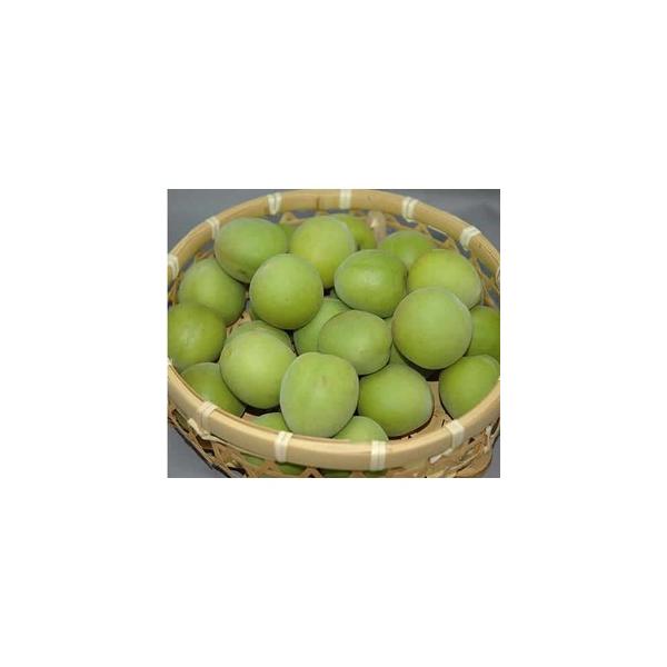 2026N6\ a̎RY 썂~ ~ ~ ~p 5kg 3LTCY  IB * ӂ邳Ɣ[ ł͂܂