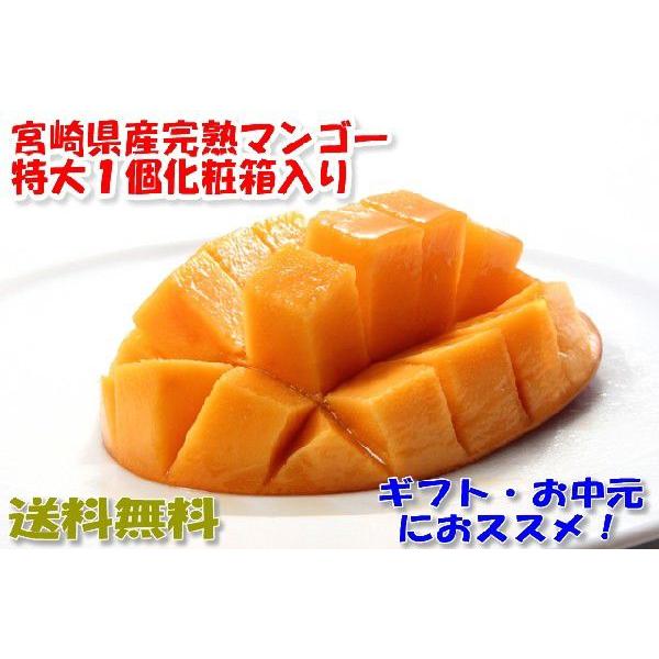 2026N4\ {}S[  3L1ʉϔ {  Mtg }S[ {茧 n n}S[ * ӂ邳Ɣ[ ł͂܂