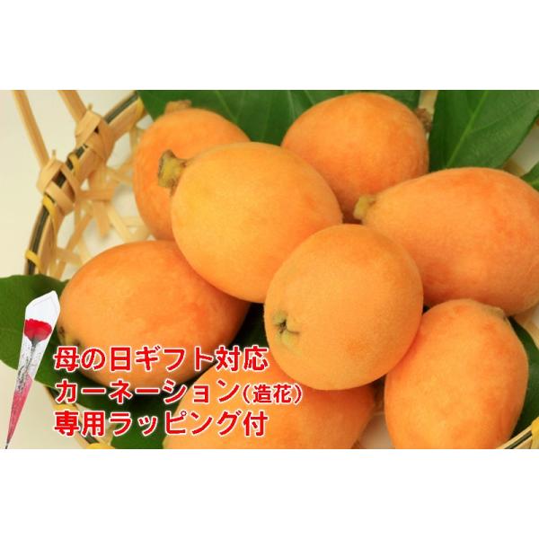 2026N4\ Y т Ζ؂т 8~15 500g ϔ Mtg * ӂ邳Ɣ[ ł͂܂