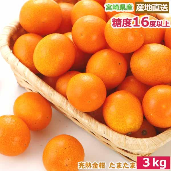 2027年1月分予約 最高糖度18度 減農薬 宮崎産 完熟 きんかん 金柑 3kg 2Lサイズ 贈答用 産地直送 柑橘 贈答 国産 フルーツ ギフト 内祝い 果物 祝い お中元 母の