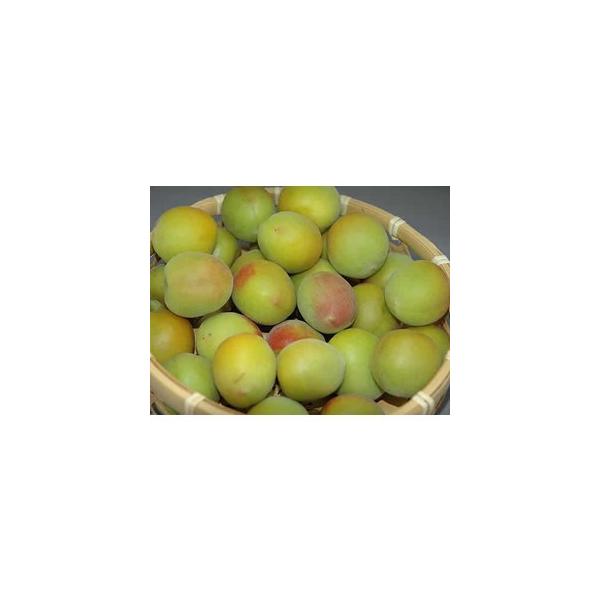 2026N6\ a̎R 썂~ n ~p ~ 5kg 3LTCY  * ӂ邳Ɣ[ ł͂܂