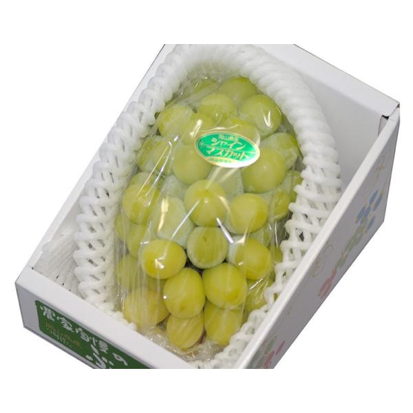 VC}XJbg 嗱1[ 700~800g ϔ * ӂ邳Ɣ[ ł͂܂