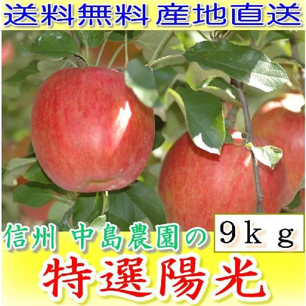 長野産 減農薬 陽光 りんご 贈答用 約9kg24 32個入 林檎 リンゴ 産地直送 はちまるはち 通販 Yahoo ショッピング