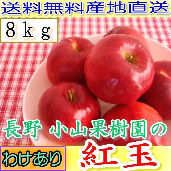 訳あり 減農薬 長野 生食用 紅玉 りんご 約8kg C品 小玉32~60個入 リンゴ 林檎 産地直送 小山 9g * ふるさと納税 ではありません