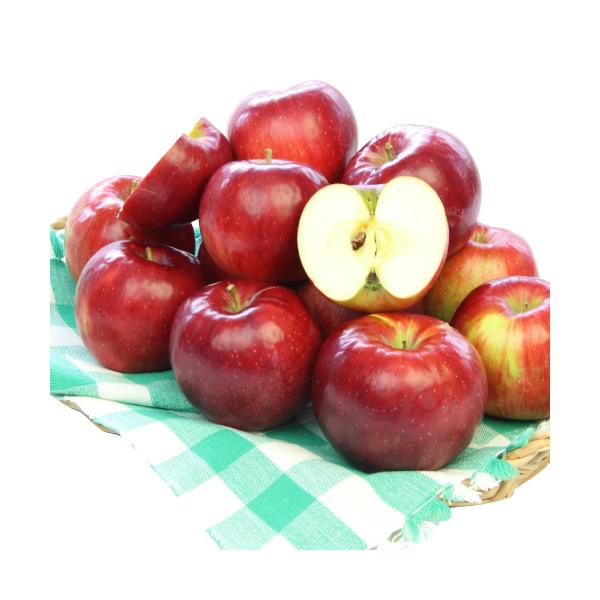 訳あり 減農薬 長野 生食用 紅玉 りんご 約4~8kg C品 小玉16~60個入 リンゴ 林檎 産地直送 小山 9g * ふるさと納税 ではありません