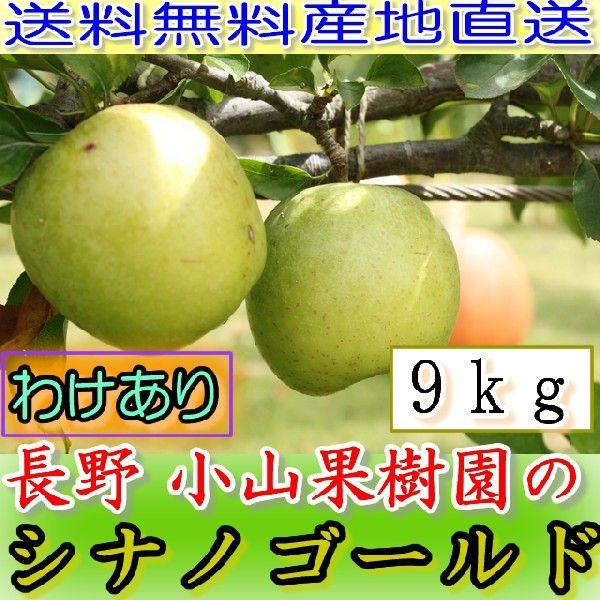 2025N11\ 󂠂 _   VimS[h  9kg 16~50 Ci S ь Yn R * ӂ邳Ɣ[ ł͂܂