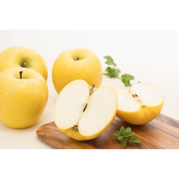 2025N11\ _  VimS[h  Bi 4.5kg 8~25 S ь Yn R * ӂ邳Ɣ[ ł͂܂