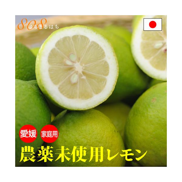 【10月分予約】訳あり 国産 農薬未使用 レモン 3kg 「 無農薬 」の表示は国のガイドラインで表示禁止 愛媛 大三島 又は 広島 瀬戸内 ore 10g