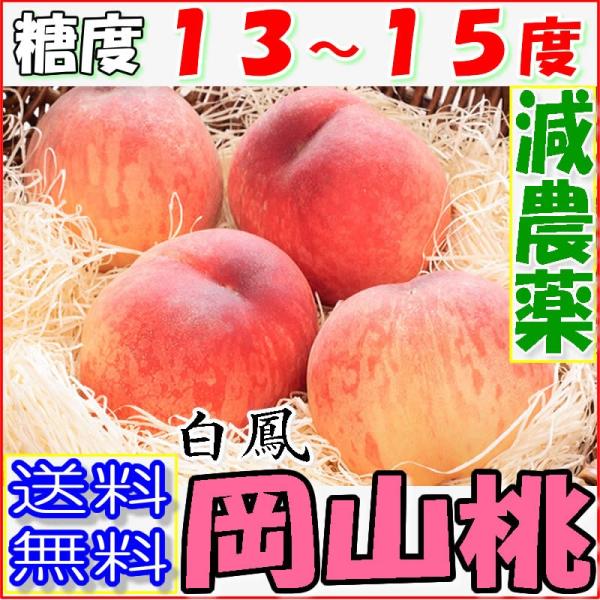 2027年7月分予約 糖度13〜15度 減農薬 岡山 白鳳 白桃 桃 大玉11〜13玉 約3.7kg〜4kg 化粧箱入 贈答用 ギフト  産地直送 * ふるさと納税 ではありません