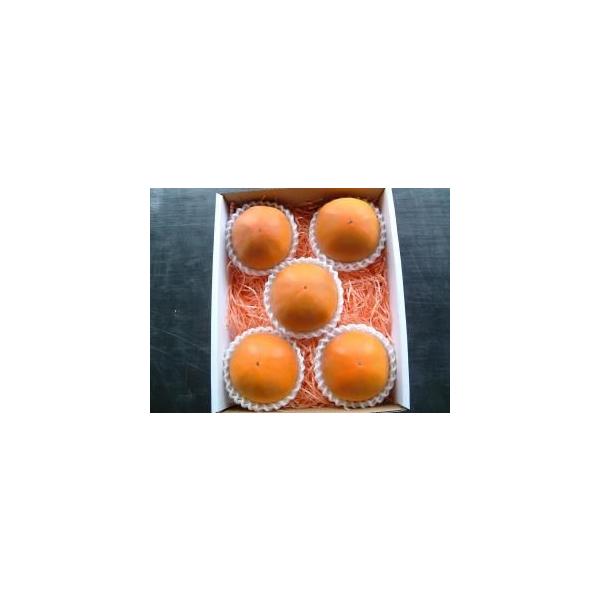 2026N9\ x22x ԋۏ a̎R ` VH` L 6 1.2kg ϔ p Yn * ӂ邳Ɣ[ ł͂܂