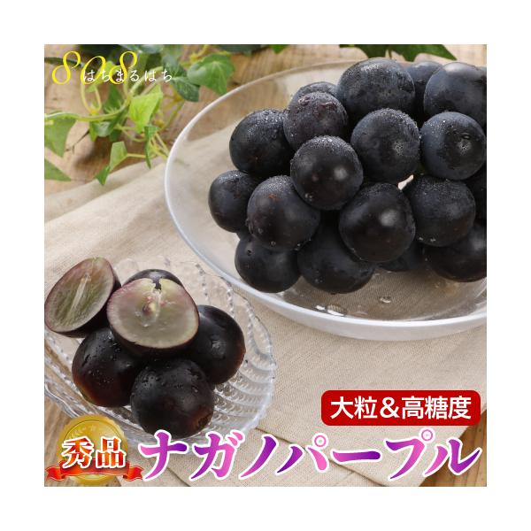 2026N9\ iKmp[v Ԃǂ 1.8kg  p ϔ uhE   Yn * ӂ邳Ɣ[ ł͂܂