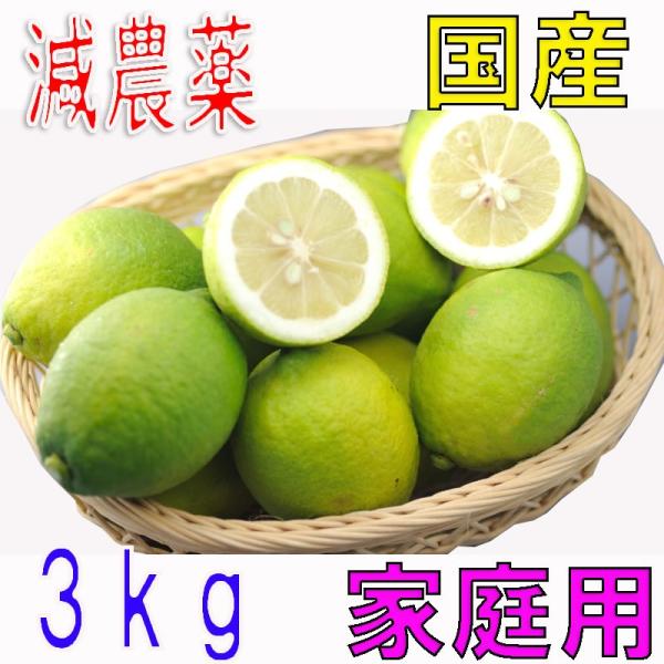 _ Y  3kg 󂠂 Q ˓ O  EG ƒp Y hܕsgp t[c ʕ j j  ̓ ̓