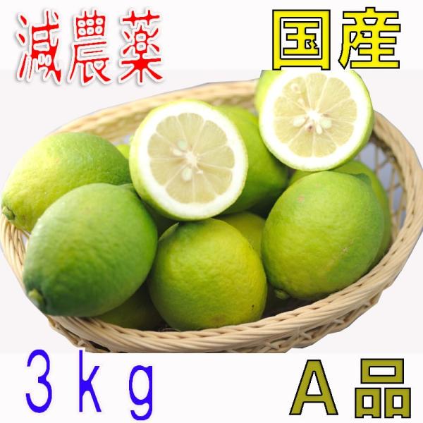 _ Y  3kg Ai Q ˓ O  EG p Y hܕsgp t[c ʕ j j  ̓ ̓ h