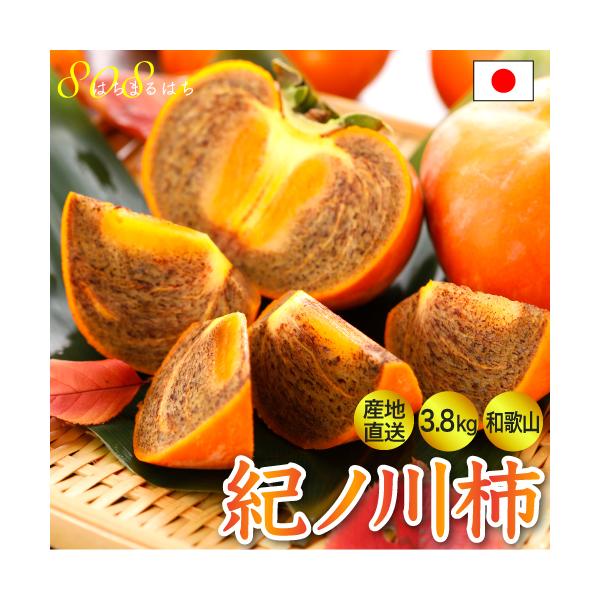 Szԋۏ _ a̎R Im` 3.8kg 12~15ʓ 󂠂 I̐` Yn 10j * ӂ邳Ɣ[ ł͂܂