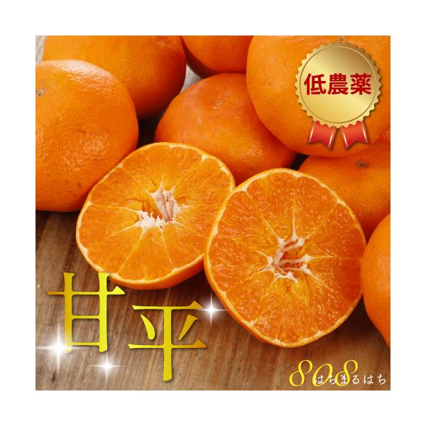 2027年2月分予約 糖度15度 減農薬  甘平 みかん 贈答用 約3kg ~ 10kg 愛媛 サイズ混合 産地直送 大三島  ※ ふるさと納税 ではありません