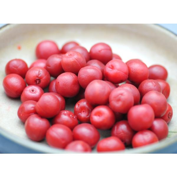 JJ~ Y Ɩp ڊo߂̈ꗱ ~Ђ 1kg 340O ~ JJ * ӂ邳Ɣ[ ł͂܂