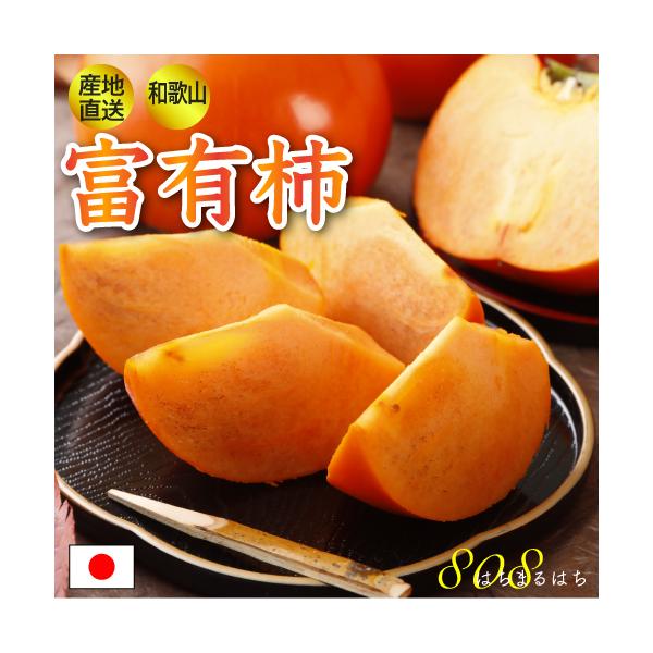 2025N11\ Szԋۏ _ a̎R xRY xL` 3.8kg G 12~15 Yn * ӂ邳Ɣ[ ł͂܂