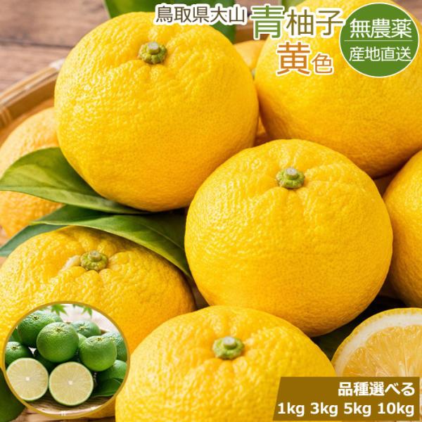 無農薬 種無し 柚子 青柚子 ゆず 1kg ~ 10kg 鳥取産 青ゆず ユズ  種なし 産地直送 SU 種類と容量選べる※ ふるさと納税 ではありません