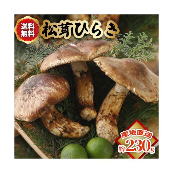 Y  Ђ炫  230g 2~8{x ܂ }c^P R * ӂ邳Ɣ[ ł͂܂