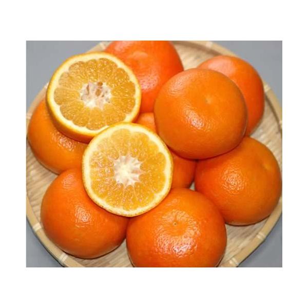 2027年分予約 訳あり 減農薬 愛媛産 宮内 いよかん 約4kg〜8kg サイズ混合 伊予柑 * ふるさと納税 ではありません