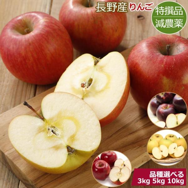 減農薬 りんご 約3kg~10kg 贈答用 シナノリップ つがる シナノドルチェ 秋映 シナノスイート 陽光 トキ 紅玉 シナノホッペ シナノゴールド ぐんま名月 ふじ