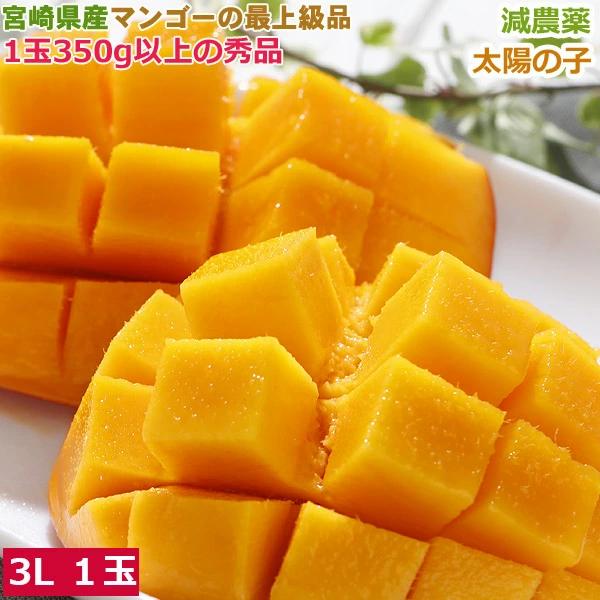 『太陽の子』生産者の黒木利男さんは、31年前に宮崎県で初めてマンゴー栽培をスタートした、宮崎県随一のベテランマンゴー農家です。『太陽の子』は、1986年に黒木さんが命名したオリジナルブランドマンゴーです。糖度は15度以上あり、有機肥料を使い...