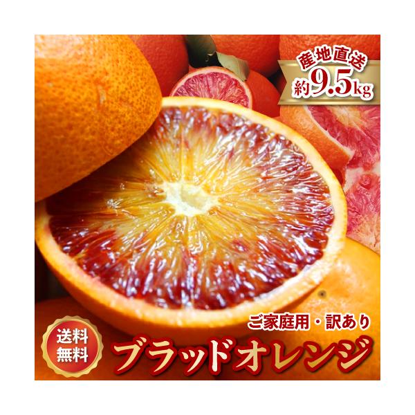 2027年3月分予約減農薬 愛媛産 タロッコ ブラッドオレンジ 約9.5kg 訳あり ワックス不使用 サイズ混合 産地直送 10kg ブラッド オレンジ 愛媛 国産 果物