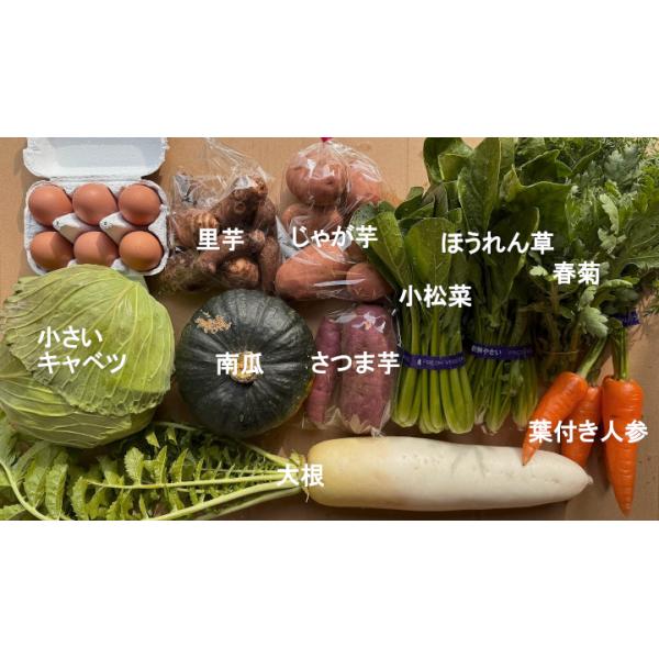 九州野菜 10品詰め合わせ 5枚目