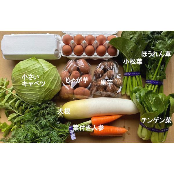 スーパーや市場で調達した物ではなく、藤瀬農園で採れた野菜だけを詰め合わせた野菜セットです。除草剤は使わず、化学肥料も使っていません。畑でもぎ取って食べることが出来る安心して食べることが出来る野菜達です。多少傷があったりサイズがまちまちですが...