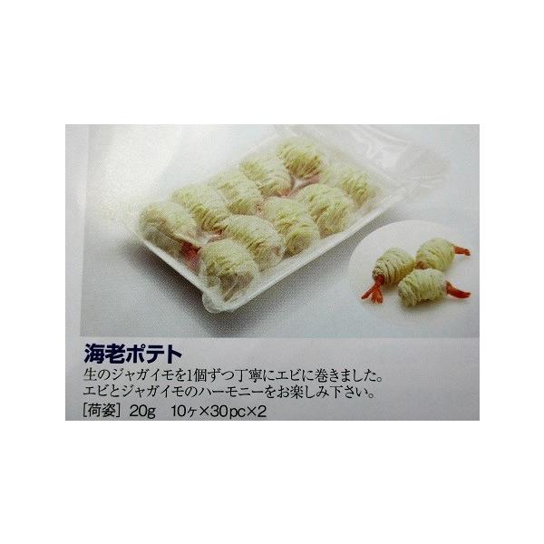 CV|eg@10i20j×60P@iP500~ŕʁjƖp@C@XX[p[tC