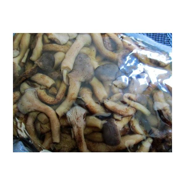 @Ă߂|Y@1×15oiP1150~ŕʁjƖp@C