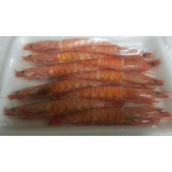 I@{CLԊCViVRj10i13-15TCYgpj×12oio1890~ŕʁjƖp@C